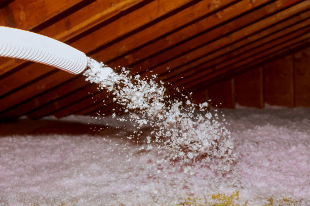 Best Specialized Insulation Services in Saint Davids, PA