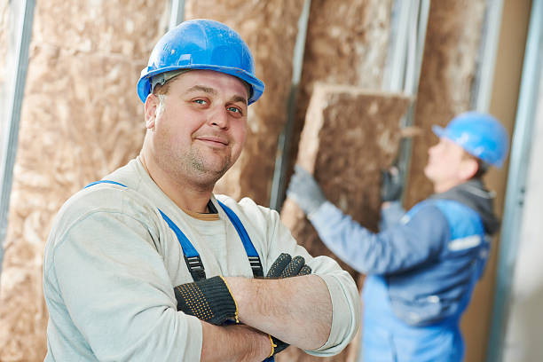 Best Eco-Friendly Insulation in Saint Davids, PA